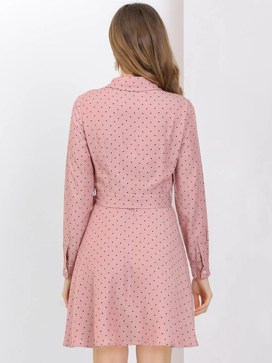 Women's Polka Dot Long Sleeve A-Line Shirt Dress with Button Up Design