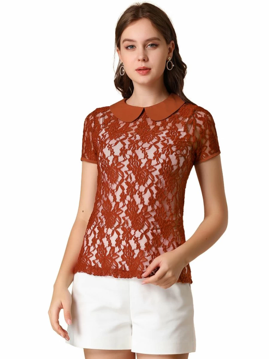 Women's Sheer Lace Top with Contrast Doll Collar Short Sleeve Blouse Elegant Feminine T-Shirt