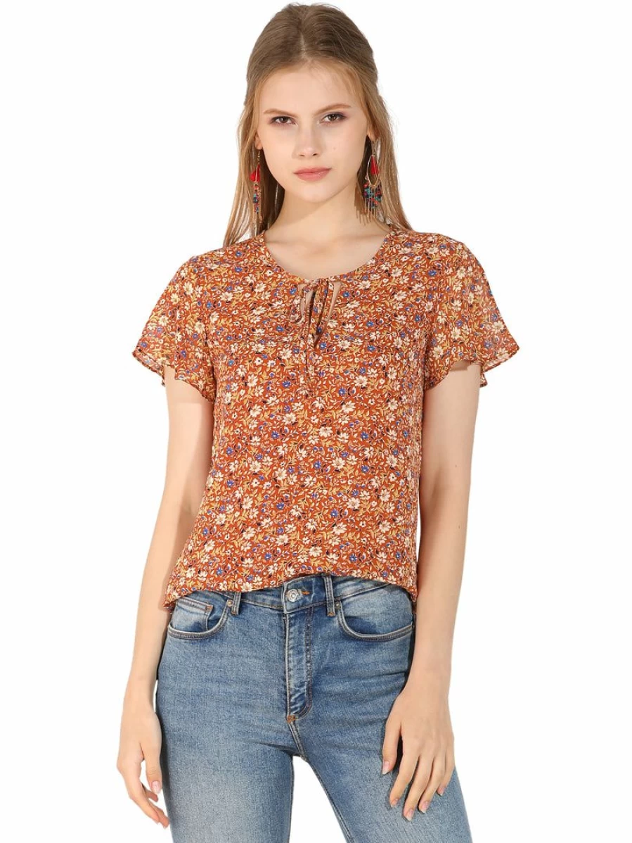 Allegra K Women's Red Brown Floral V-Neck Blouse with Short Sleeves and Ruffled Ditsy Top