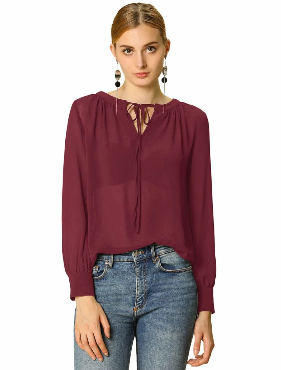 Elegant Women's Chiffon Blouse with Tie Neck and Long Sleeves